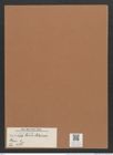 Navicula leres Schum. (de-Toni-Nr.: Genus 1, Species 188) Zeichnungen Sammlung Grunow Mappe 00152 (Herbarium_W_Grunow_drawings_Folder_00152)